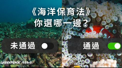 大海的美麗