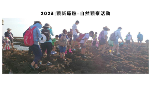 觀新藻礁自然觀察活動