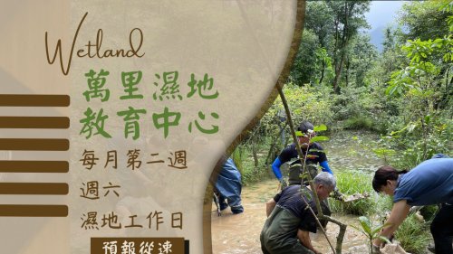 萬里濕地工作日