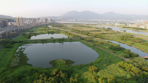 《河岸漫遊》五股溼地生態園區生態導覽
