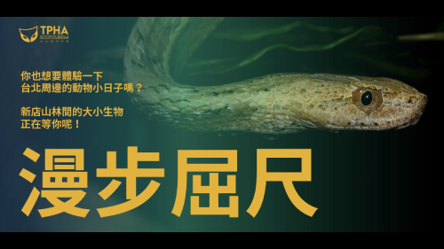 漫步屈尺