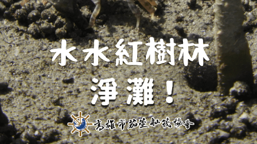 水水紅樹林｜淨灘活動