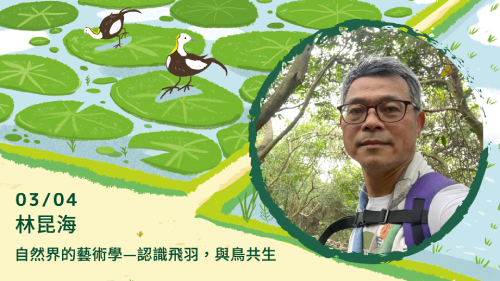 自然界的藝術學&mdash;認識飛羽，與鳥共生