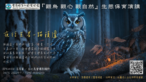 觀鳥．觀心．觀自然：夜行王者-貓頭鷹