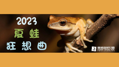 2023夏蛙狂想曲 五月場