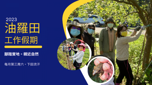 油羅田友善耕作棲地維護