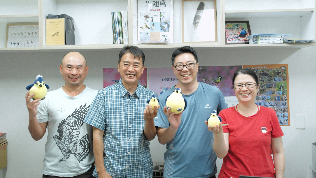 在城市裡，看見鳥：從觀賞到守護的綠色練習